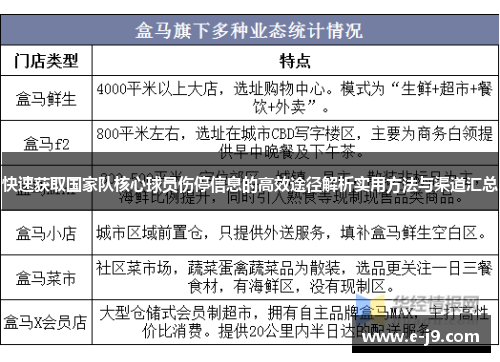 快速获取国家队核心球员伤停信息的高效途径解析实用方法与渠道汇总 快速获取国家队核心球员伤停信息的高效途径解析实用方法与渠道汇总